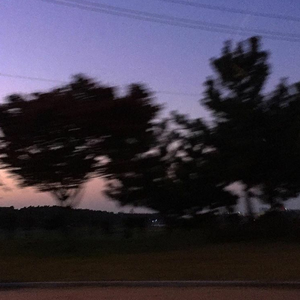 BABES性欧美视频
